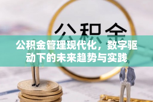 秦皇岛公积金管理现代化，数字驱动下的未来趋势与实践