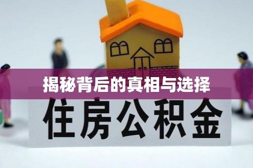 秦皇岛揭秘背后的真相与选择