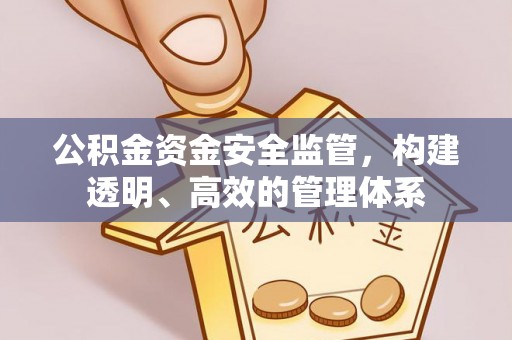 秦皇岛公积金资金安全监管，构建透明、高效的管理体系