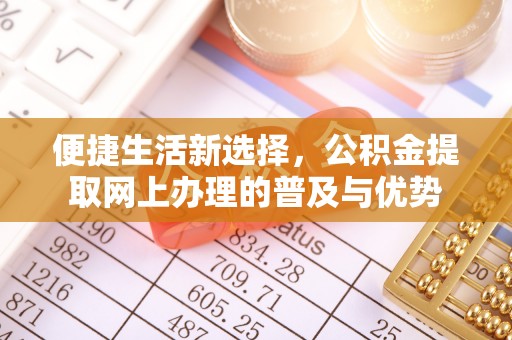 秦皇岛便捷生活新选择，公积金提取网上办理的普及与优势
