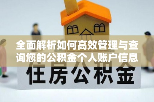 秦皇岛全面解析如何高效管理与查询您的公积金个人账户信息