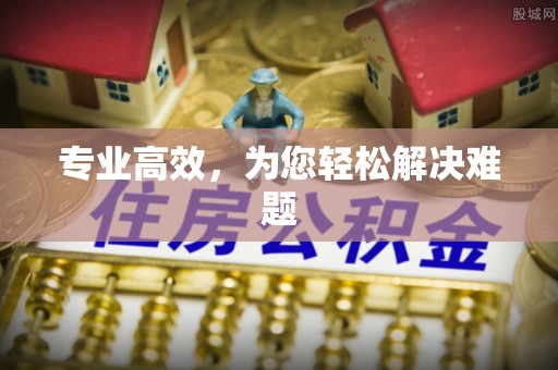 秦皇岛专业高效，为您轻松解决难题