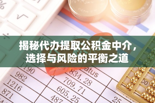 秦皇岛揭秘代办提取公积金中介，选择与风险的平衡之道