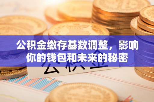 秦皇岛公积金缴存基数调整，影响你的钱包和未来的秘密