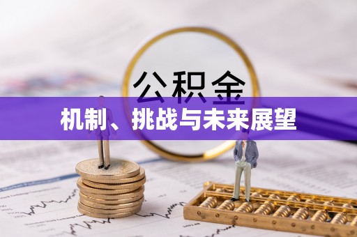 秦皇岛机制、挑战与未来展望